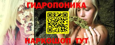 крисы Северобайкальск