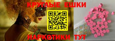 крисы Северобайкальск
